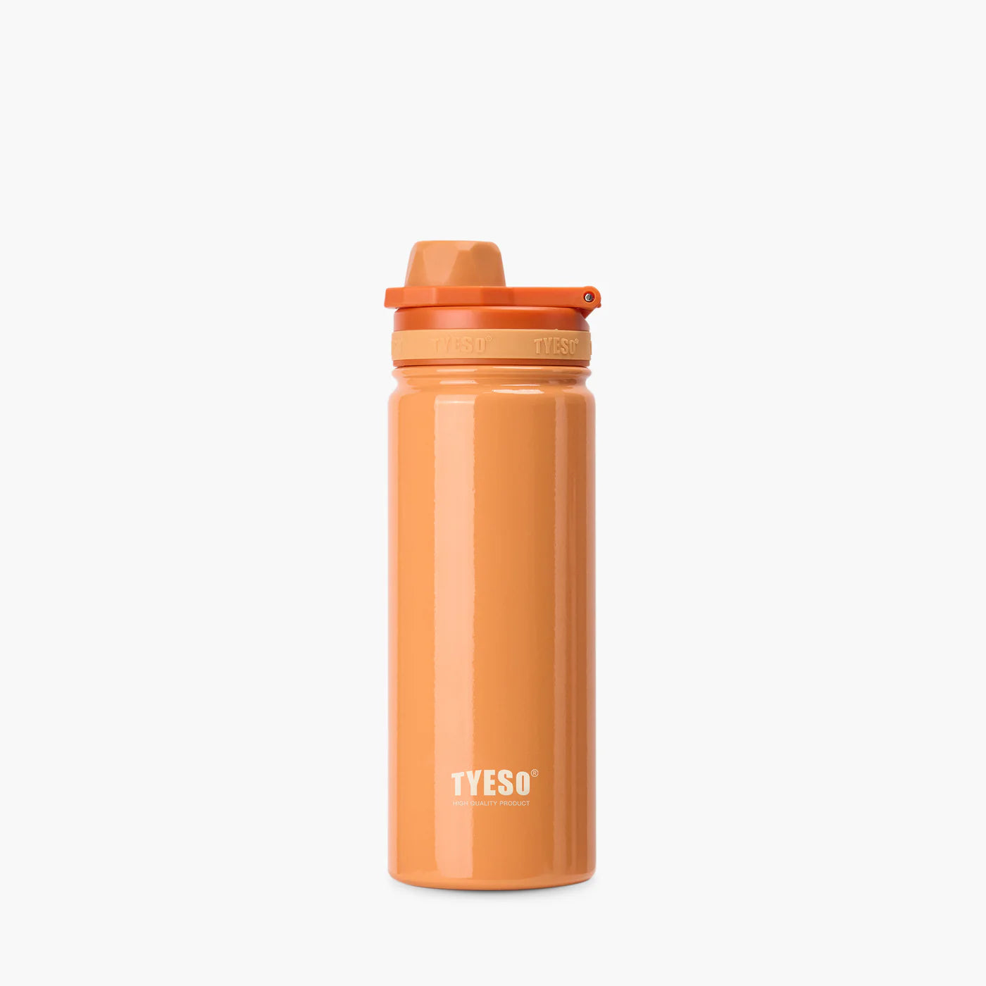 Tyeso Stainless Steel Sports Bottle With Handle 318C By Mygift.sg