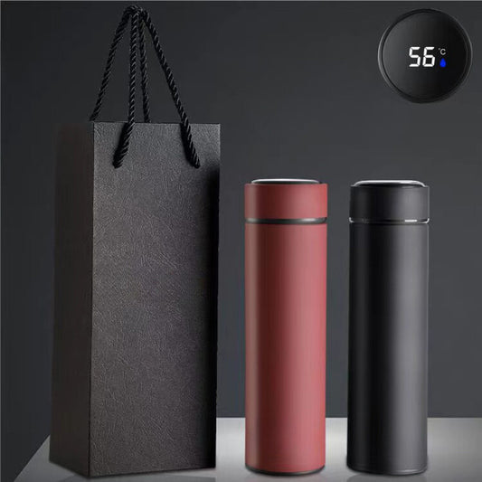 Gift Vacuum Insulated Stainless Steel Thermos Cup Frosted Temperature Display Water Bottle